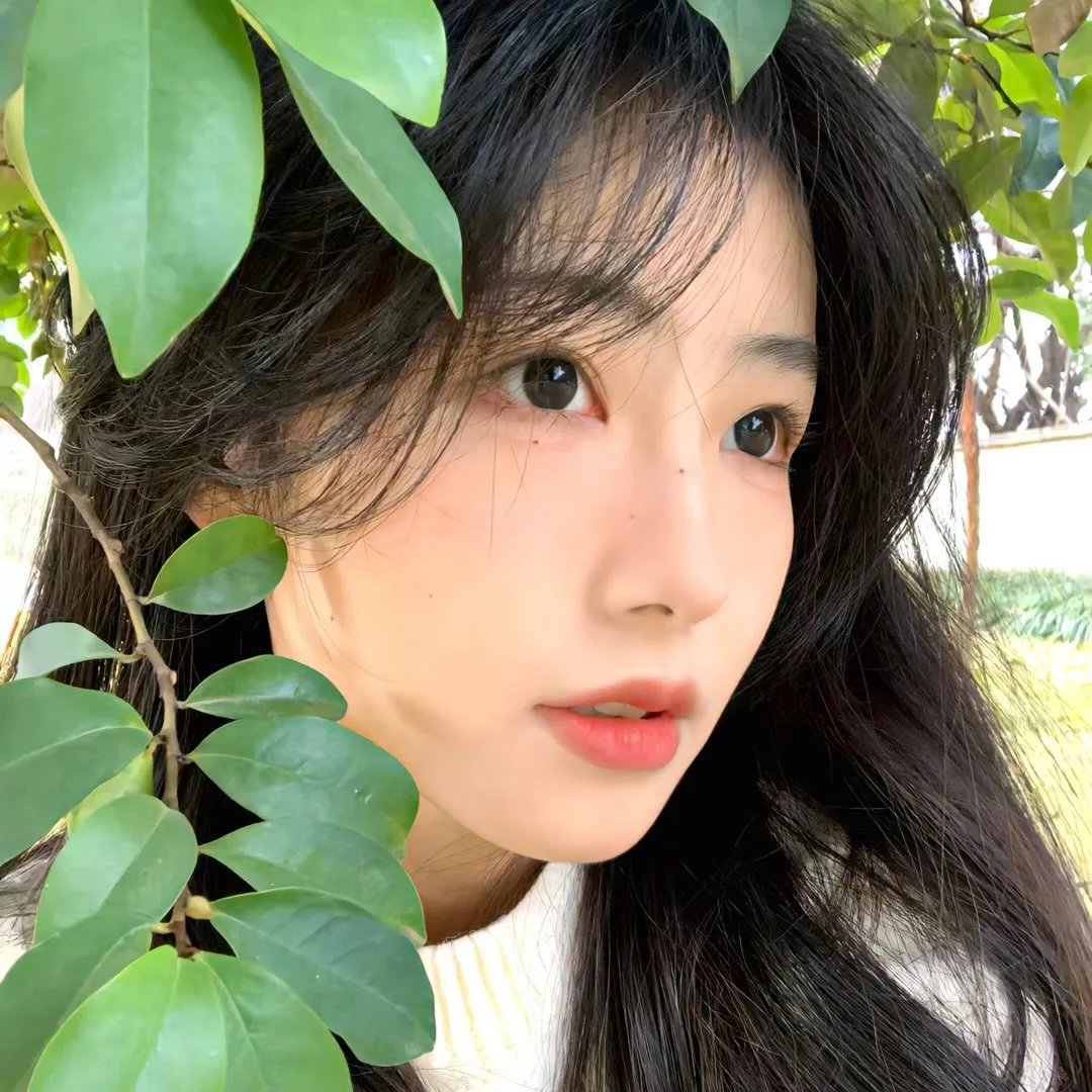 霸王谷粤语